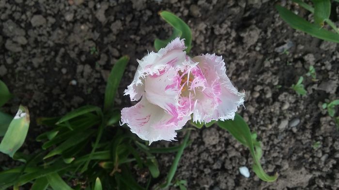 041