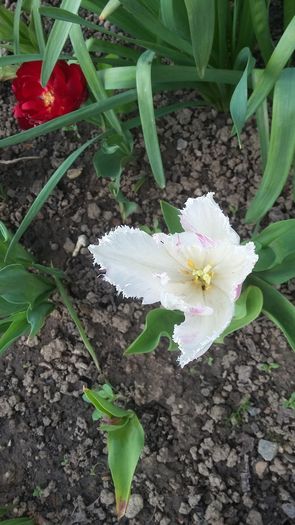 042