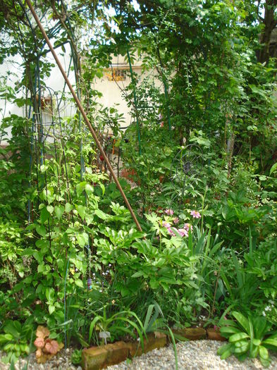 DSC01698 - Gradina 2016