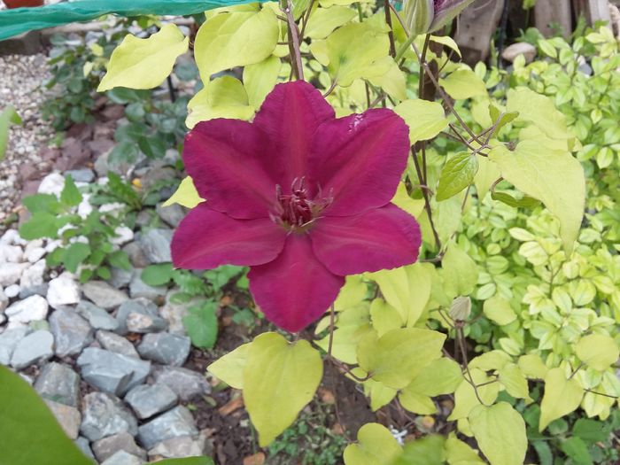 20160505_154541