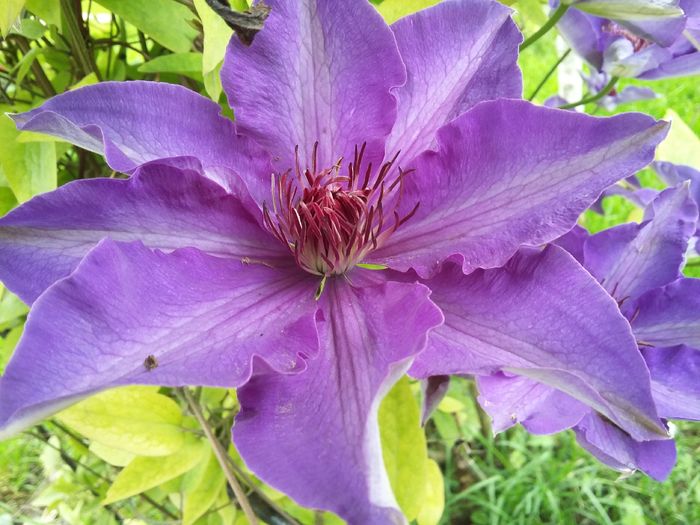 20160505_154741