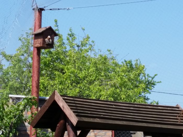 20160506_104325
