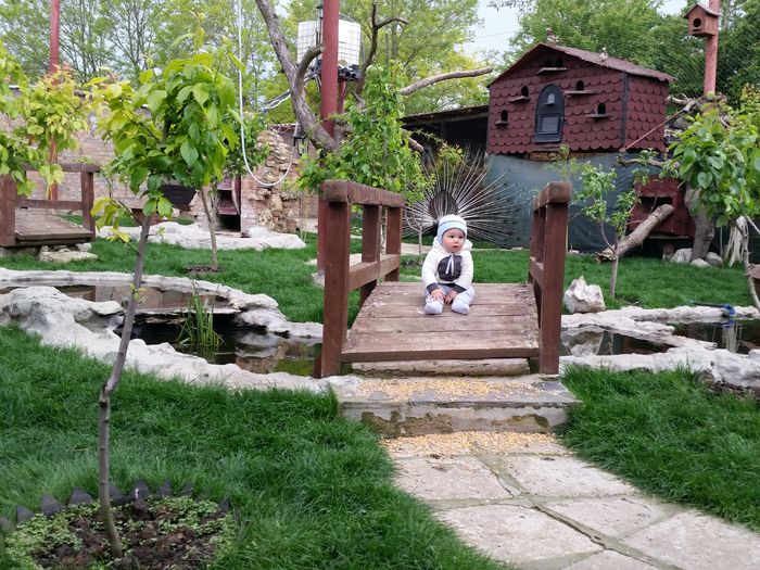 20160506_141137 - nazdravanu lu tati