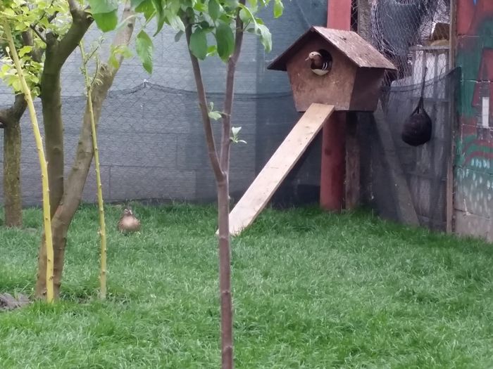20160506_140938