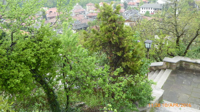 P1030622 - Prietenii si Bulgaria 10 Aprilie 2016