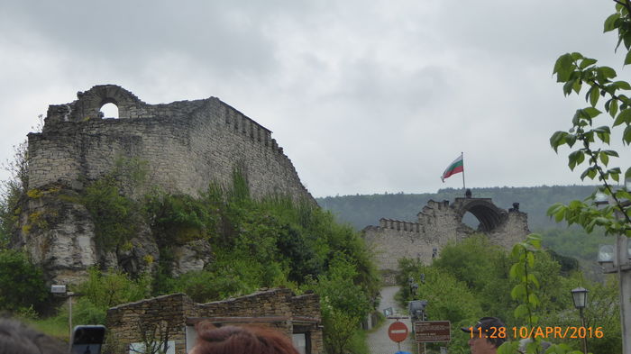 P1030626