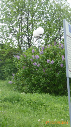 P1030653 - Prietenii si Bulgaria 10 Aprilie 2016