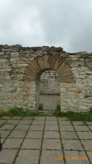 P1030679
