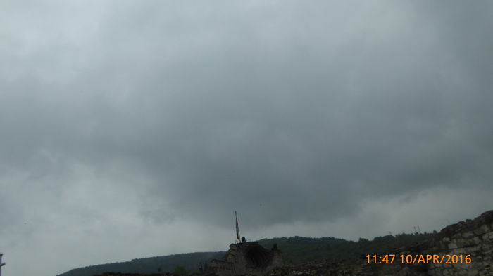 P1030687