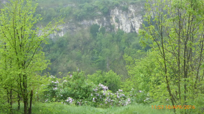 P1030703 - Prietenii si Bulgaria 10 Aprilie 2016