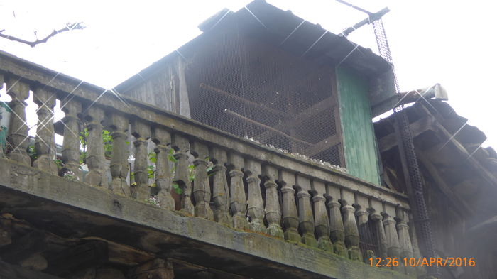 P1030720