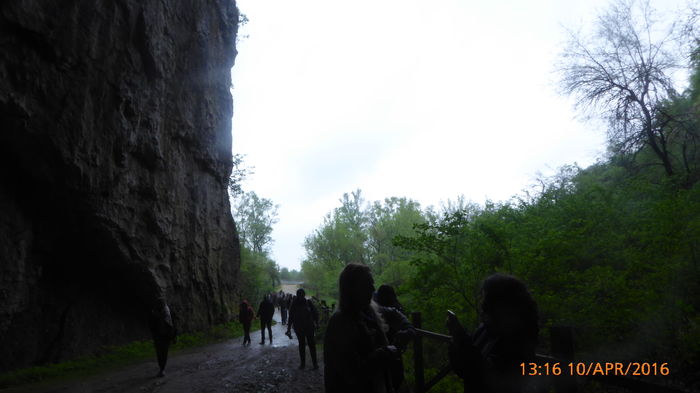 P1030737