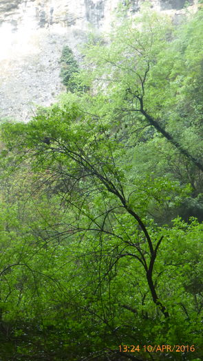 P1030755 - Prietenii si Bulgaria 10 Aprilie 2016