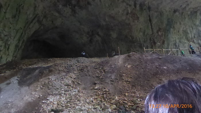 P1030761