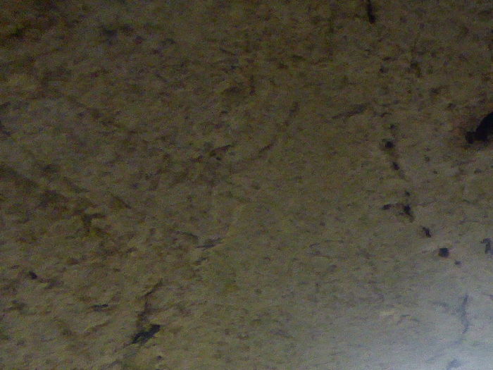 P1030795