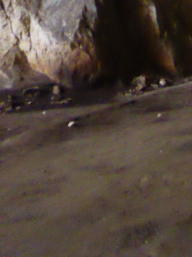 P1030797 - Prietenii si Bulgaria 10 Aprilie 2016