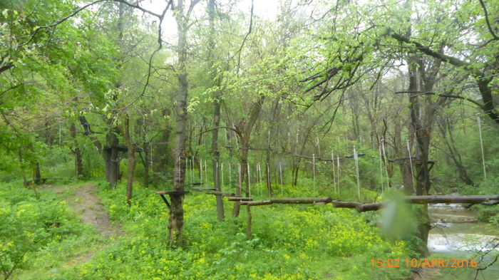 P1030854 - Prietenii si Bulgaria 10 Aprilie 2016