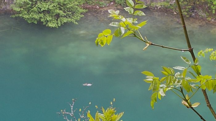 20160501_115151 - Prietenii Serbia si Croatia 28 Aprilie 3 Mai 2016 Partea a2a