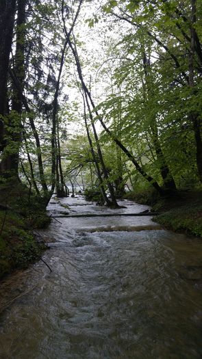 20160501_134119 - Prietenii Serbia si Croatia 28 Aprilie 3 Mai 2016 Partea a2a