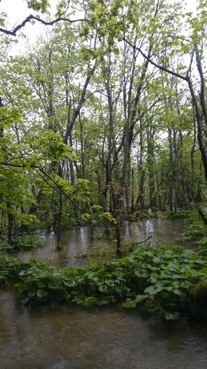 20160501_135017 - Prietenii Serbia si Croatia 28 Aprilie 3 Mai 2016 Partea a2a