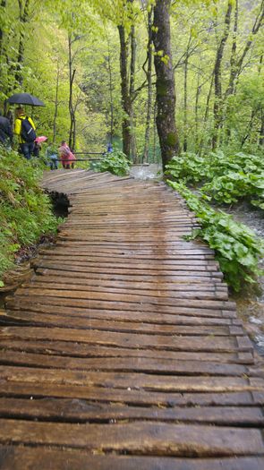 20160501_135023 - Prietenii Serbia si Croatia 28 Aprilie 3 Mai 2016 Partea a2a