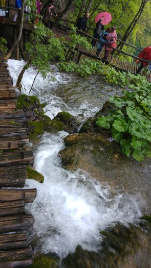 20160501_135035 - Prietenii Serbia si Croatia 28 Aprilie 3 Mai 2016 Partea a2a