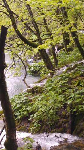 20160501_135157 - Prietenii Serbia si Croatia 28 Aprilie 3 Mai 2016 Partea a2a