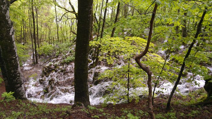 20160501_135646 - Prietenii Serbia si Croatia 28 Aprilie 3 Mai 2016 Partea a2a