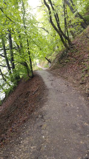 20160501_140551 - Prietenii Serbia si Croatia 28 Aprilie 3 Mai 2016 Partea a2a