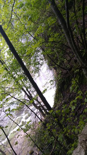 20160501_141450