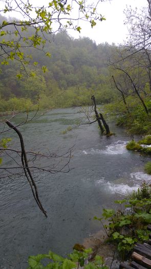 20160501_141924
