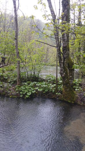 20160501_142222