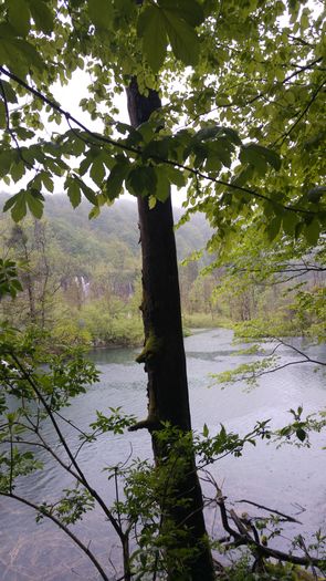 20160501_143541