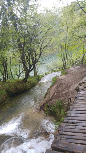 20160501_143909