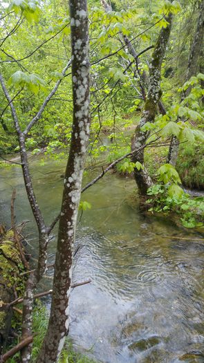 20160501_144733