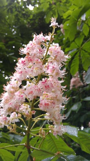 20160502_085351