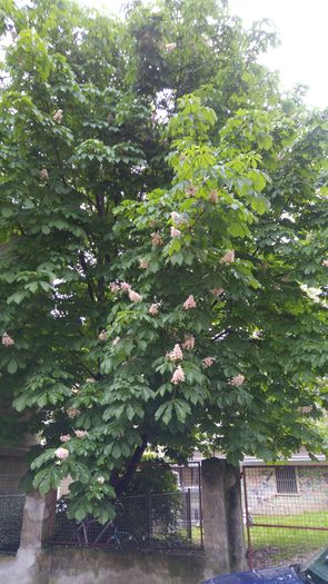 20160502_085403
