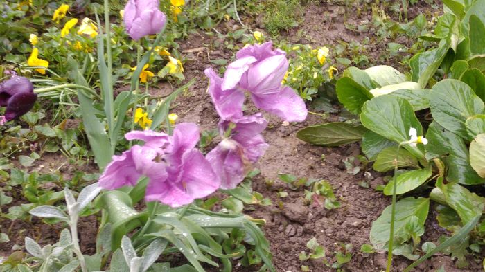 20160502_100041
