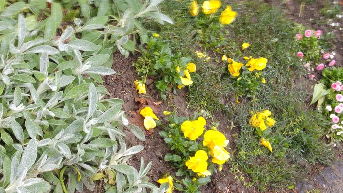 20160502_100051
