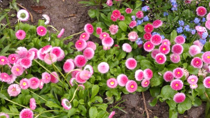 20160502_100054