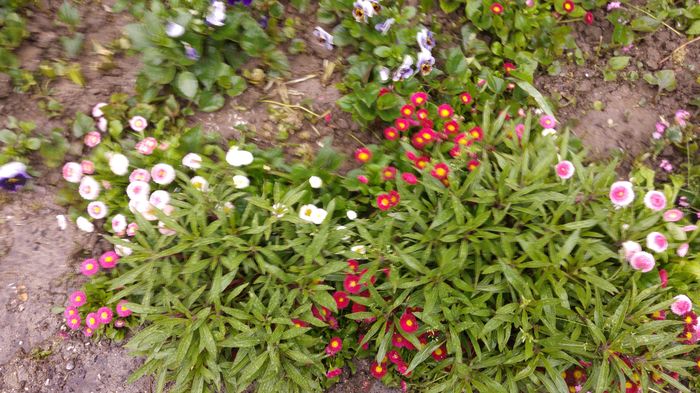 20160502_100101