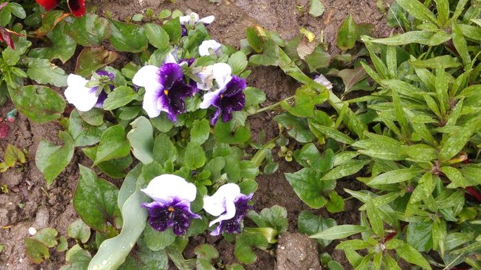 20160502_100111