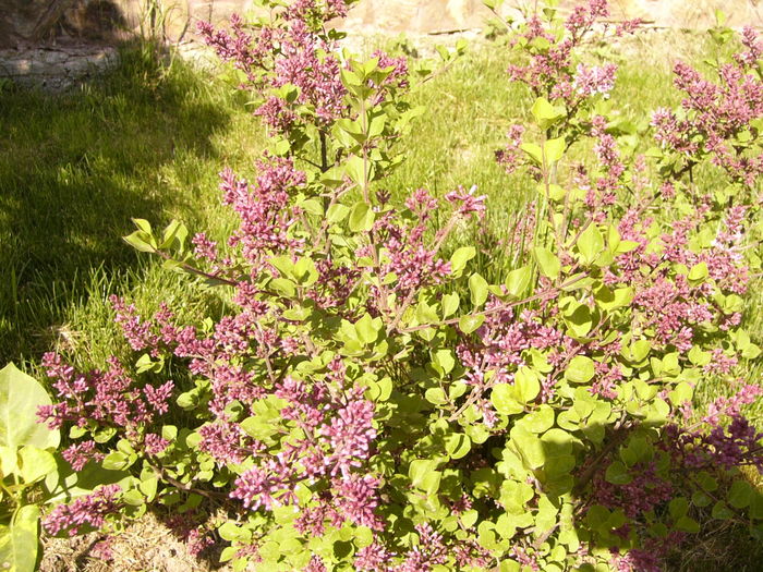 P1250111