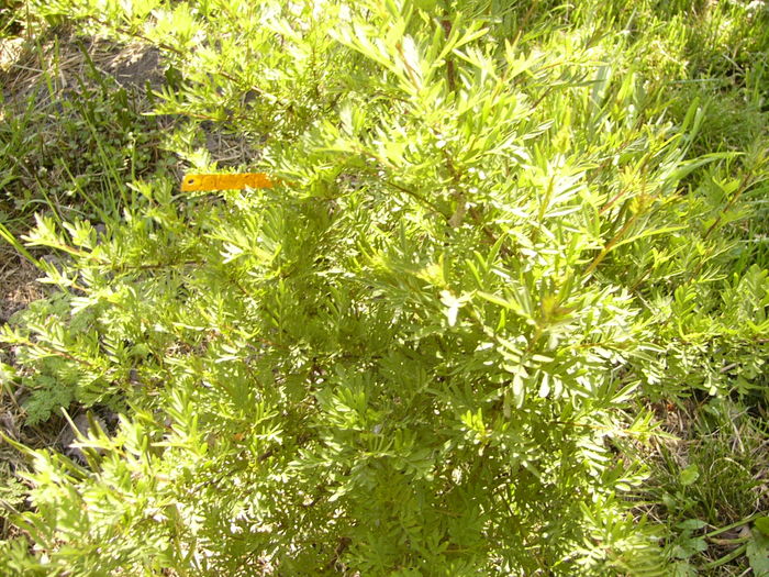 P1250114
