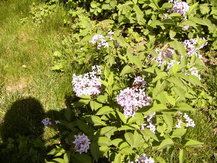 P1250130