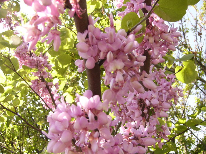 P1250134