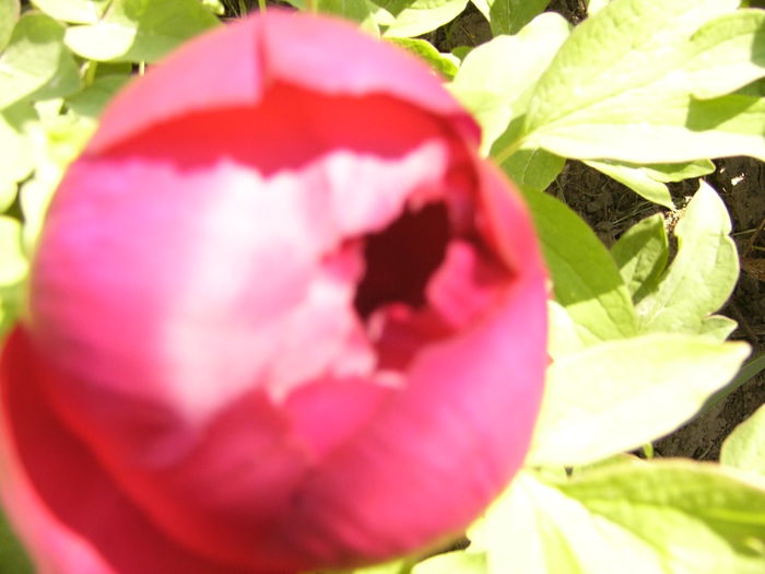 P1250138