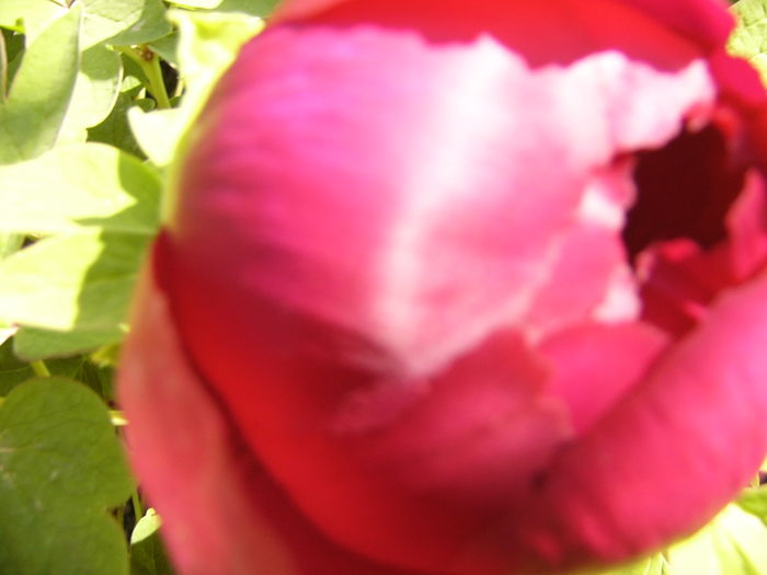 P1250139
