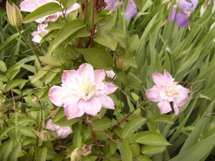 P1250559