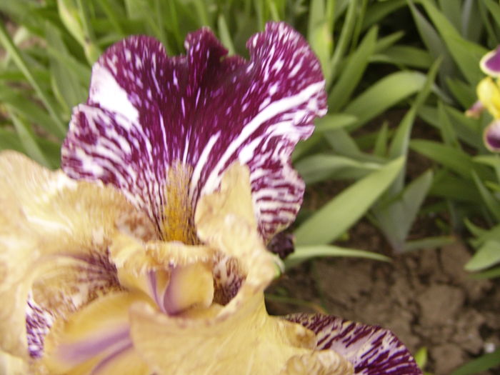 P1250566